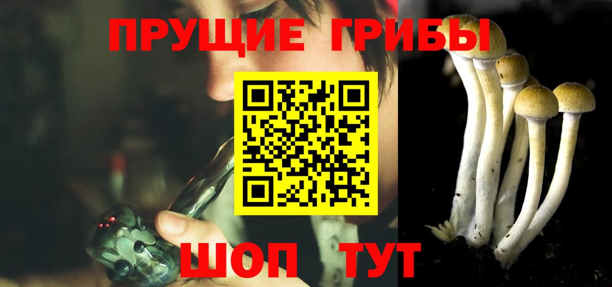 Галлюциногенные грибы мухоморы Балтийск