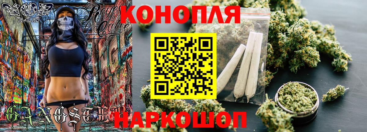 Канабис OG Kush Балтийск
